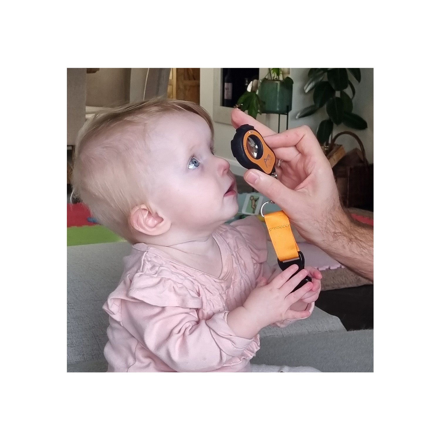 Lumi Anterior Eye Inspector