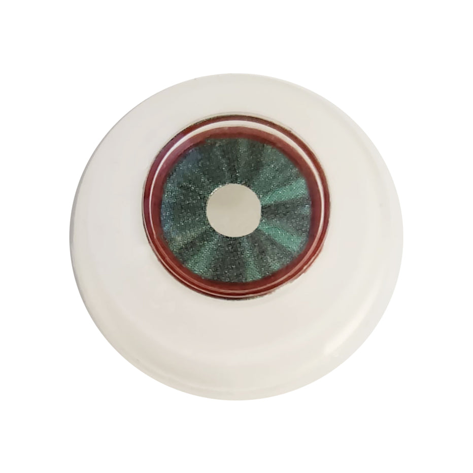 Phake-i® Trabecular Meshwork Model – Optego Vision USA